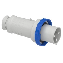 FICHE MOBILE DROITE 63A 2PT 200-250V IP6