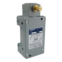 LIMIT SWITCH 600V 10AMP C +OPTIONS