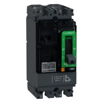 SCHNEIDER ELECTRIC Circuit breaker, ComPacT NSX160F AC/DC, 18kA/415VAC, 2 poles, TMD trip unit 160A