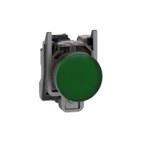 SCHNEIDER ELECTRIC Pilot light, metal, green, 22mm, LED, 230..240V AC