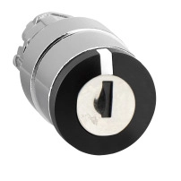 KEY SELEC SWITCH CHROMIUM KEY455